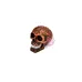 Celtic-skull-mythology-decor-with-symbolic-Celtic-design-details